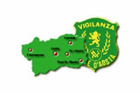 Istituto Valdostano di Vigilanza Srl