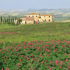 Cascine e aziende agricole